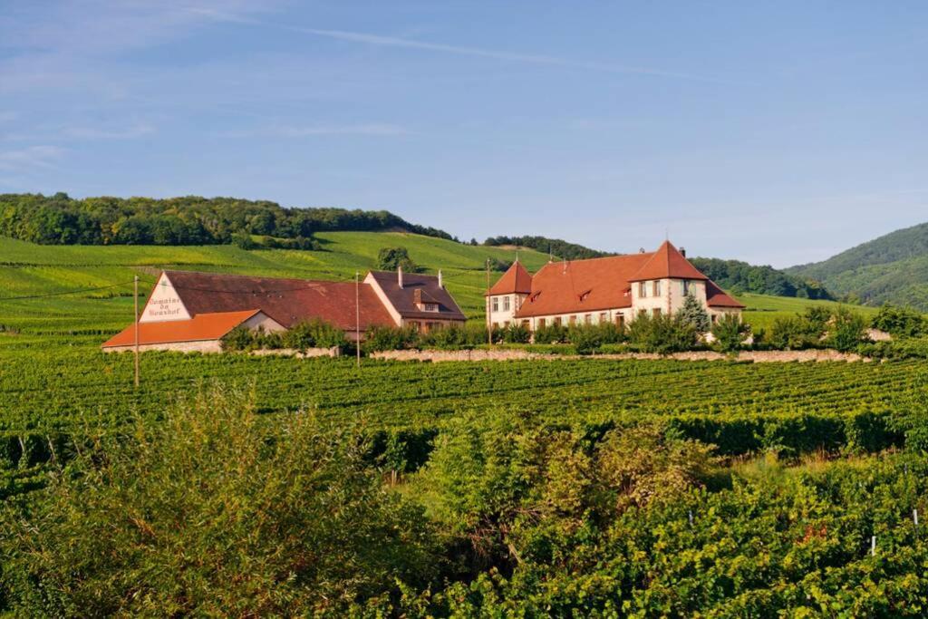 Apartament Domaine Du Bouxhof Mittelwihr Zewnętrze zdjęcie